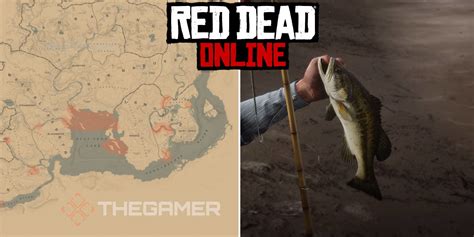 Red Dead Online: Best Large Mouth Bass Fishing Locations .